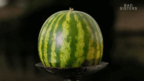 Massive Melons GIFs .